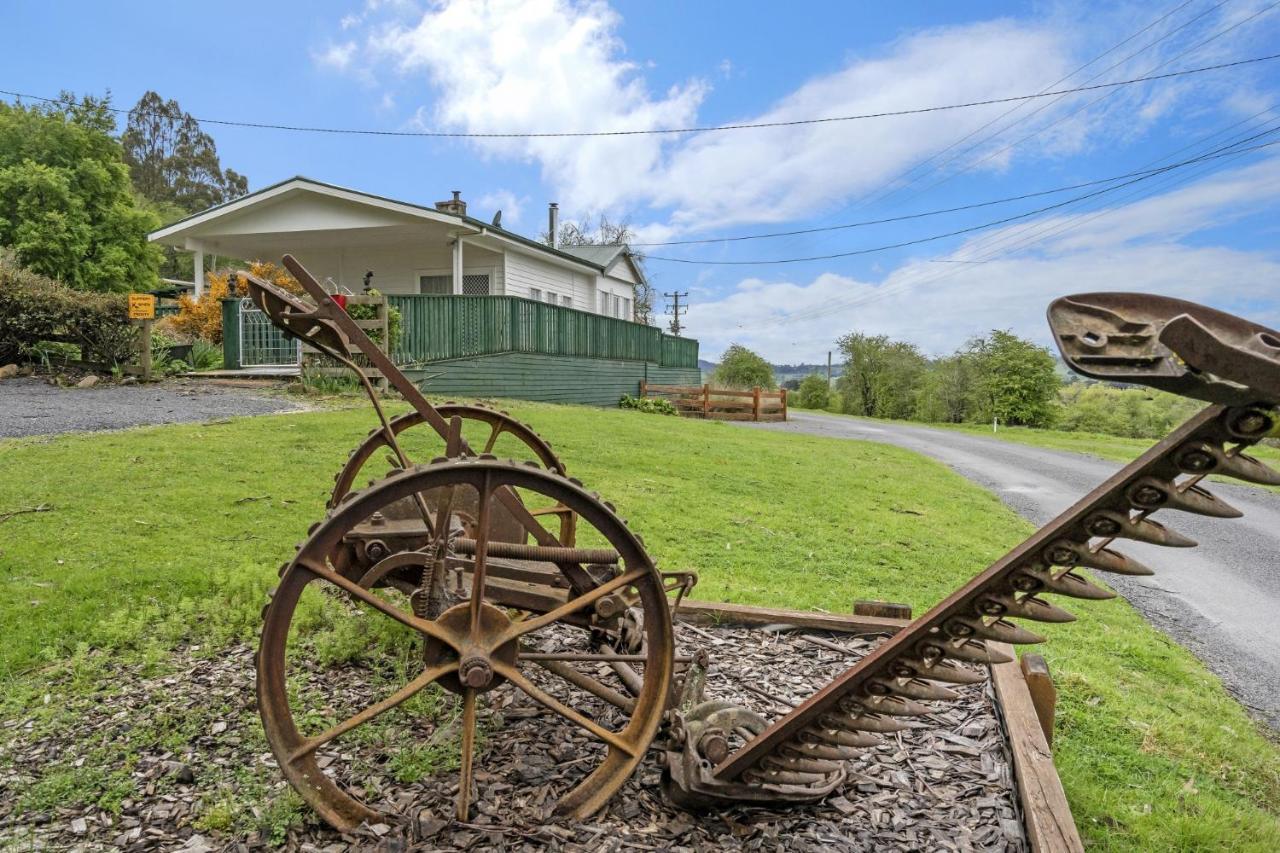Mole Creek Cabins Esterno foto