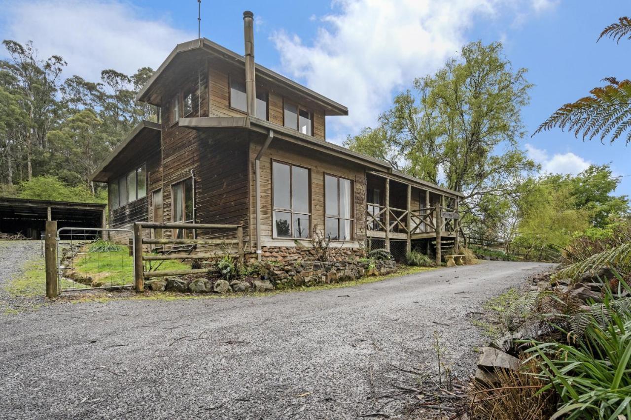 Mole Creek Cabins Esterno foto